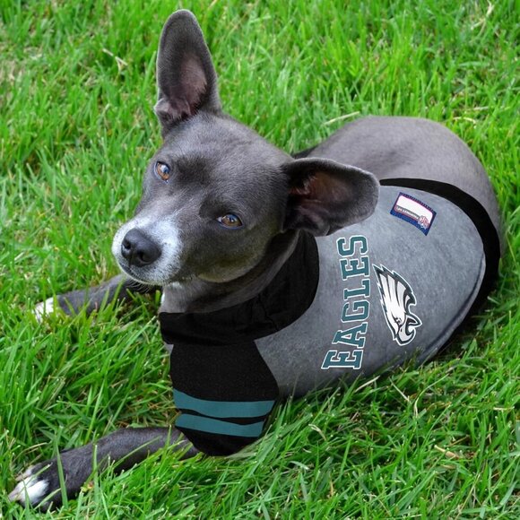 NFL Philadelphia Eagles Hoodie for Dogs & Cats. | NFL Football Licensed Dog Hood - Picture 2 of 5